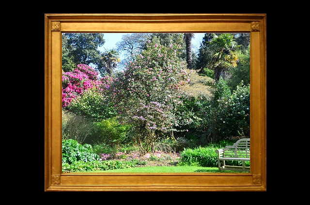 13 04 14_2907_edited-1.jpg - ABBOTSBURY TROPICAL GARDENS, DORSET - 13.4.14
